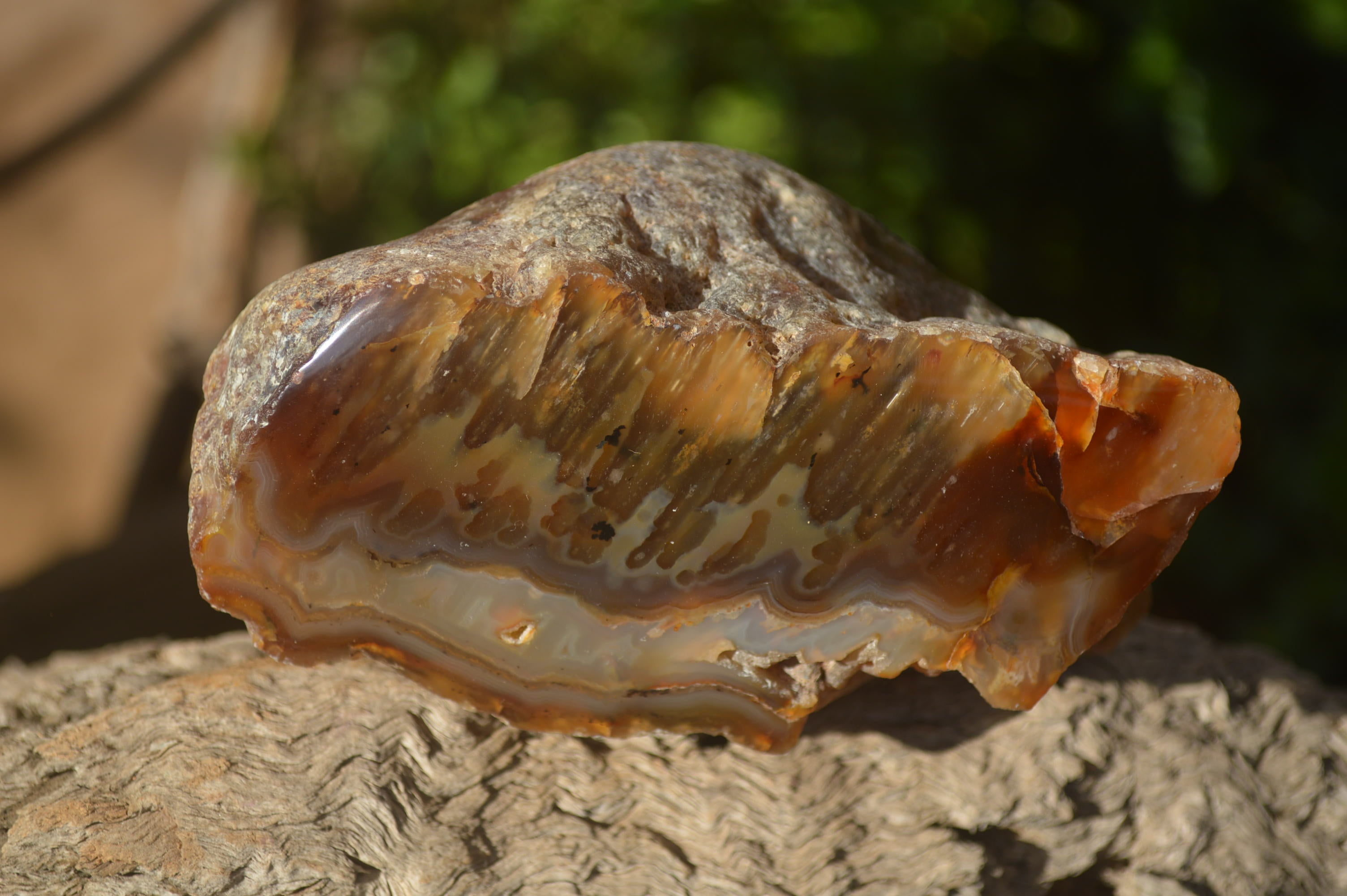 Polished Sashe River Agate Nodules x 4 From Zimbabwe - Toprock Gemstones and Minerals 