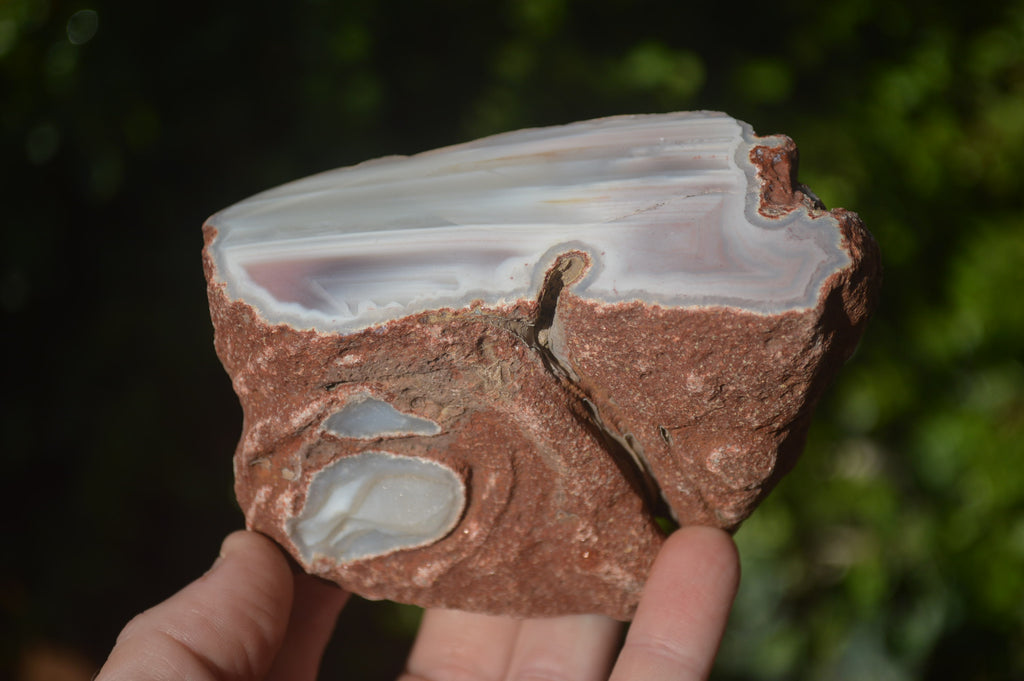 Polished Sashe River Agate Nodules x 4 From Zimbabwe - Toprock Gemstones and Minerals 