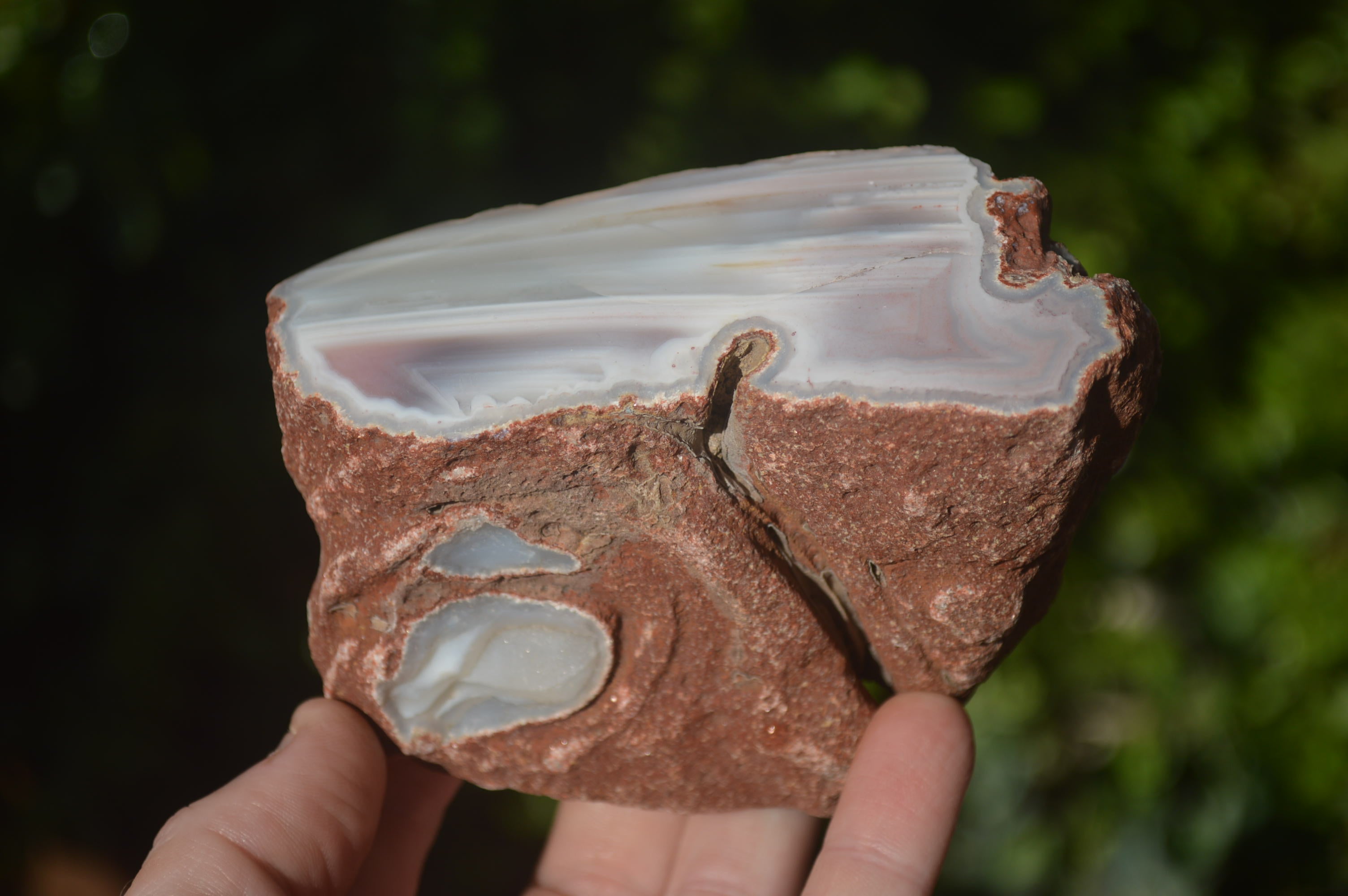 Polished Sashe River Agate Nodules x 4 From Zimbabwe - Toprock Gemstones and Minerals 