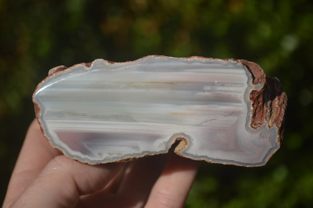 Polished Sashe River Agate Nodules x 4 From Zimbabwe - Toprock Gemstones and Minerals 