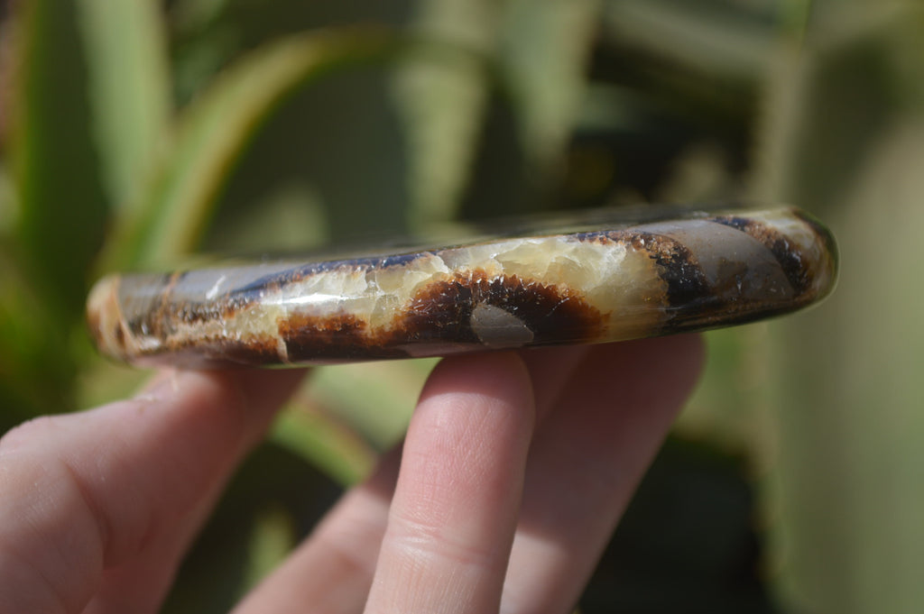 Polished Septerye Slices x 4 Mahajanga, Madagascar - Toprock Gemstones and Minerals 