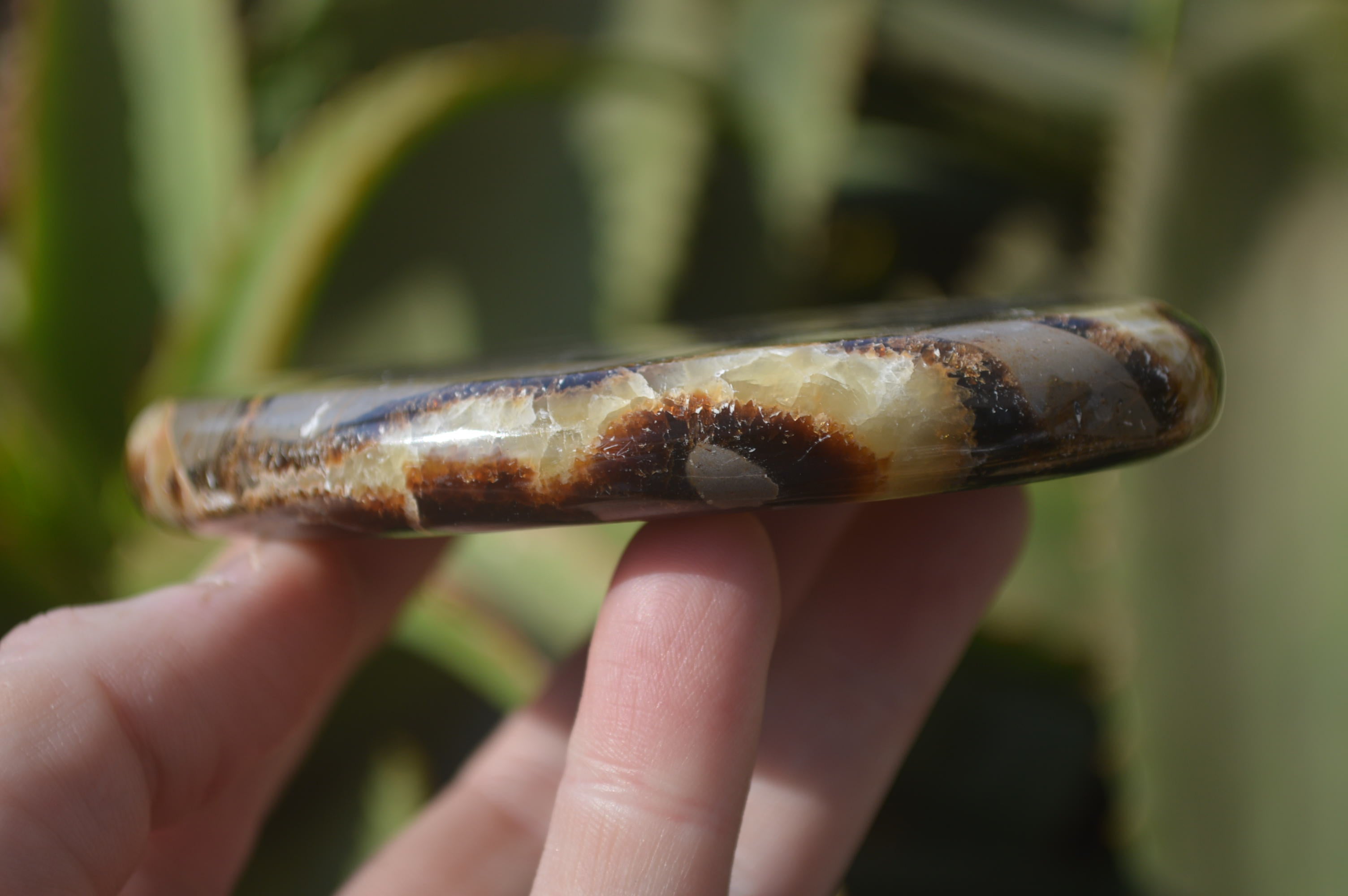 Polished Septerye Slices x 4 Mahajanga, Madagascar - Toprock Gemstones and Minerals 