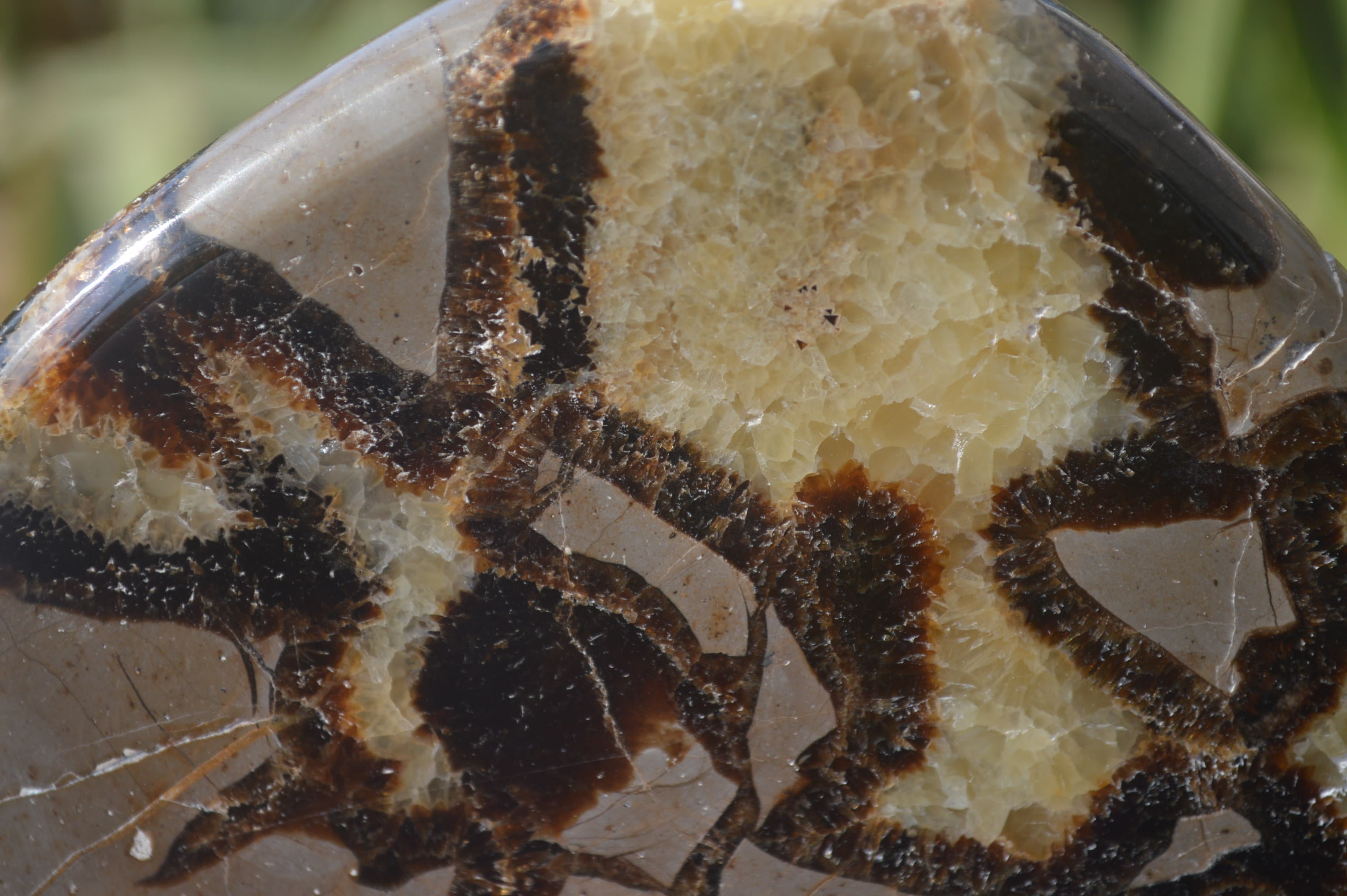 Polished Septerye Slices x 4 Mahajanga, Madagascar - Toprock Gemstones and Minerals 