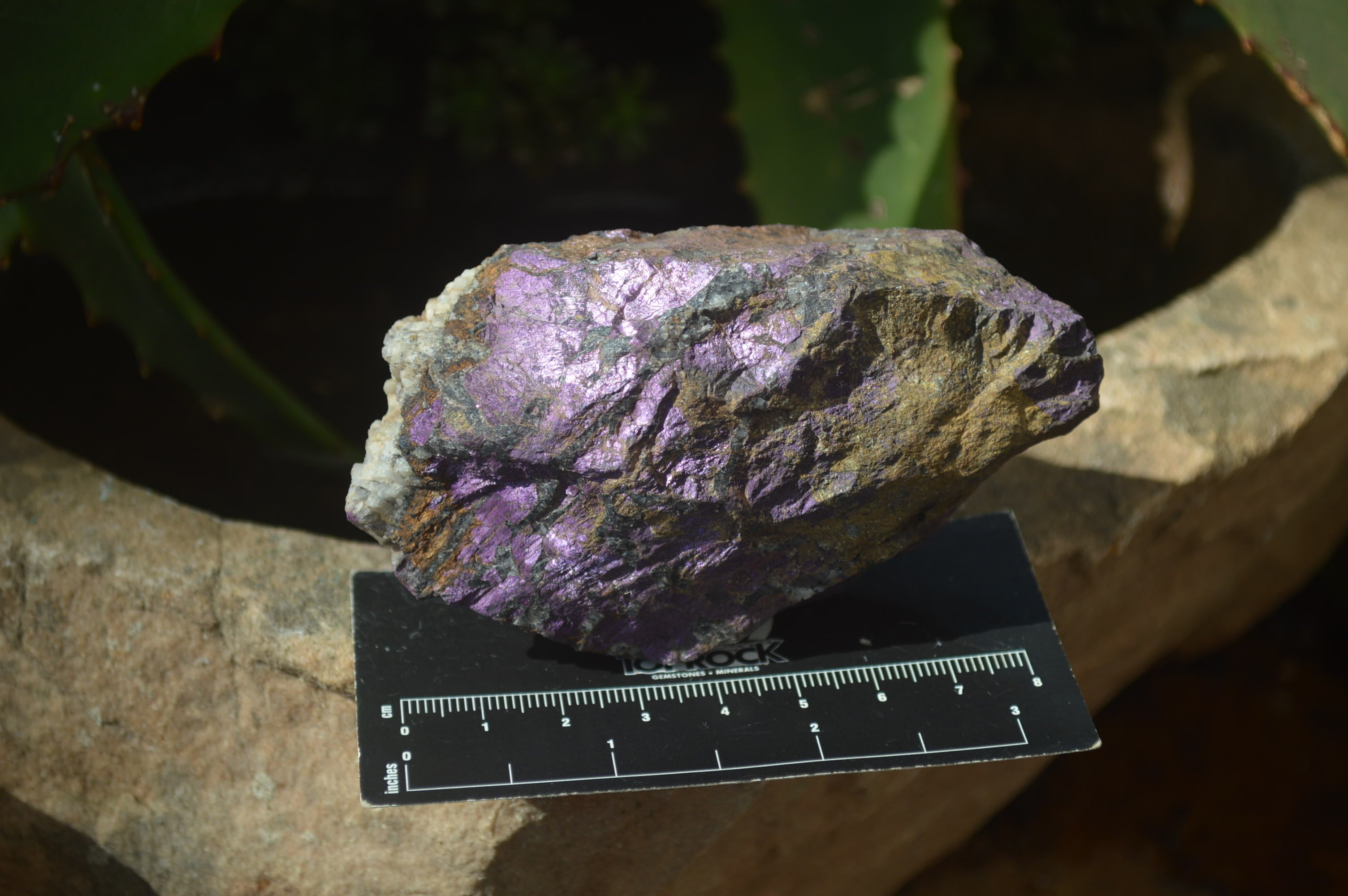 Natural Metallic Purpurite Cobbed Specimens x 12 From Erongo, Namibia - Toprock Gemstones and Minerals 