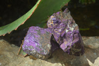 Natural Metallic Purpurite Cobbed Specimens x 12 From Erongo, Namibia - Toprock Gemstones and Minerals 
