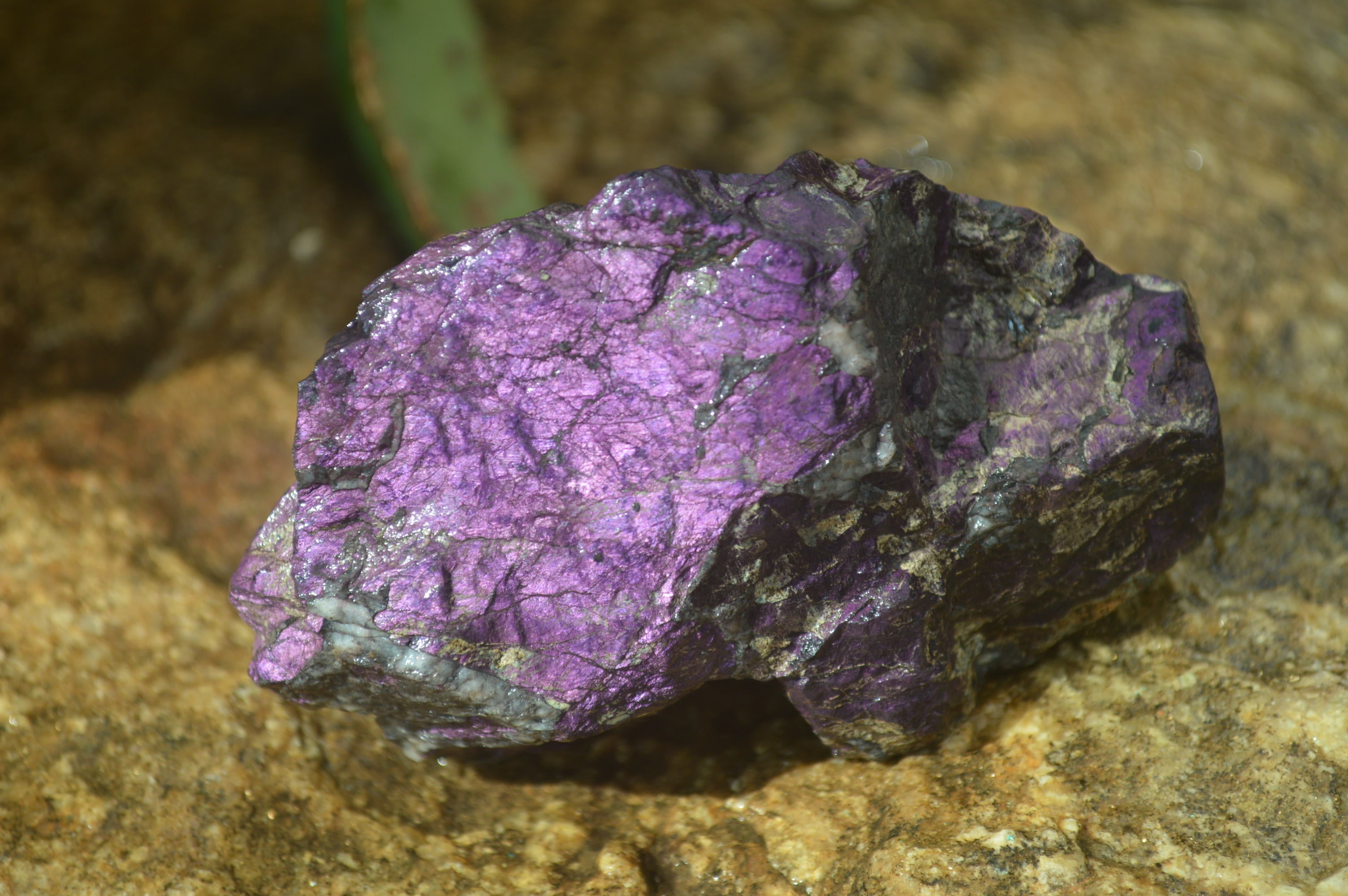 Natural Metallic Purpurite Cobbed Specimens x 12 From Erongo, Namibia - Toprock Gemstones and Minerals 