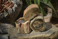 Polished Petrified Wood Branch Pieces x 3 From Gokwe, Zimbabwe - Toprock Gemstones and Minerals 