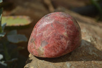Polished Rhodonite Free Forms x 6 From Zimbabwe - Toprock Gemstones and Minerals 