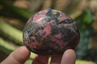 Polished Rhodonite Free Forms x 6 From Zimbabwe - Toprock Gemstones and Minerals 