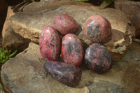 Polished Rhodonite Free Forms x 6 From Zimbabwe - Toprock Gemstones and Minerals 