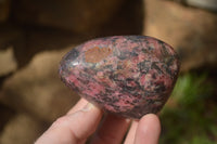 Polished Rhodonite Free Forms x 6 From Zimbabwe - Toprock Gemstones and Minerals 