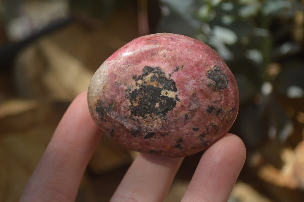 Polished Rhodonite Free Forms x 6 From Zimbabwe - Toprock Gemstones and Minerals 