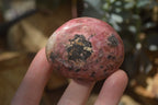 Polished Rhodonite Free Forms x 6 From Zimbabwe - Toprock Gemstones and Minerals 