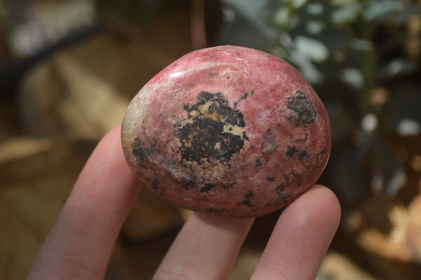 Polished Rhodonite Free Forms x 6 From Zimbabwe - Toprock Gemstones and Minerals 