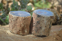 Polished Petrified Wood Branch Pieces x 2 From Gokwe, Zimbabwe - Toprock Gemstones and Minerals 