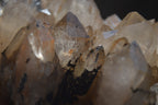 Natural Smokey Quartz Clusters x 4 From Luena, Congo - Toprock Gemstones and Minerals 