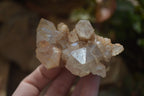 Natural Smokey Quartz Clusters x 4 From Luena, Congo - Toprock Gemstones and Minerals 