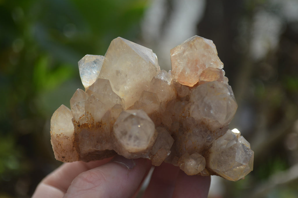 Natural Smokey Quartz Clusters x 4 From Luena, Congo - Toprock Gemstones and Minerals 