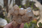 Natural Smokey Quartz Clusters x 4 From Luena, Congo - Toprock Gemstones and Minerals 