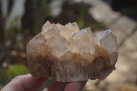 Natural Smokey Quartz Clusters x 4 From Luena, Congo - Toprock Gemstones and Minerals 