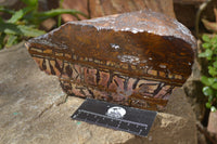 Polished On One Side Nguni Jasper Specimen x 1 From Prieska, South Africa - Toprock Gemstones and Minerals 