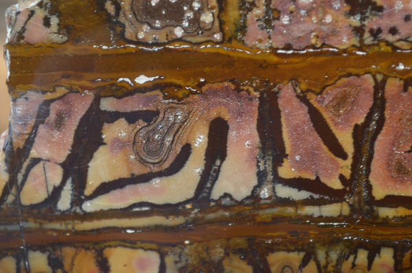 Polished On One Side Nguni Jasper Specimen x 1 From Prieska, South Africa - Toprock Gemstones and Minerals 