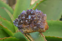 Natural Amethystos Amethyst Plates x 24 From Kwaggafontein, South Africa - Toprock Gemstones and Minerals 
