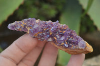 Natural Amethystos Amethyst Plates x 24 From Kwaggafontein, South Africa - Toprock Gemstones and Minerals 