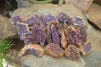 Natural Amethystos Amethyst Plates x 24 From Kwaggafontein, South Africa - Toprock Gemstones and Minerals 