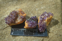 Natural Amethystos Amethyst Plates x 24 From Kwaggafontein, South Africa - Toprock Gemstones and Minerals 