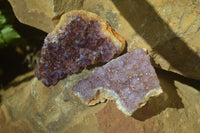 Natural Amethystos Amethyst Plates x 24 From Kwaggafontein, South Africa - Toprock Gemstones and Minerals 