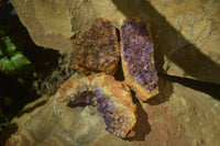 Natural Amethystos Amethyst Plates x 24 From Kwaggafontein, South Africa - Toprock Gemstones and Minerals 