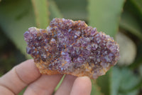Natural Amethystos Amethyst Plates x 24 From Kwaggafontein, South Africa - Toprock Gemstones and Minerals 