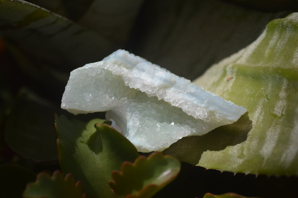 Natural Etched Blue Chalcedony Specimens x 12 From Nsanje, Malawi - Toprock Gemstones and Minerals 