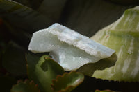 Natural Etched Blue Chalcedony Specimens x 12 From Nsanje, Malawi - Toprock Gemstones and Minerals 