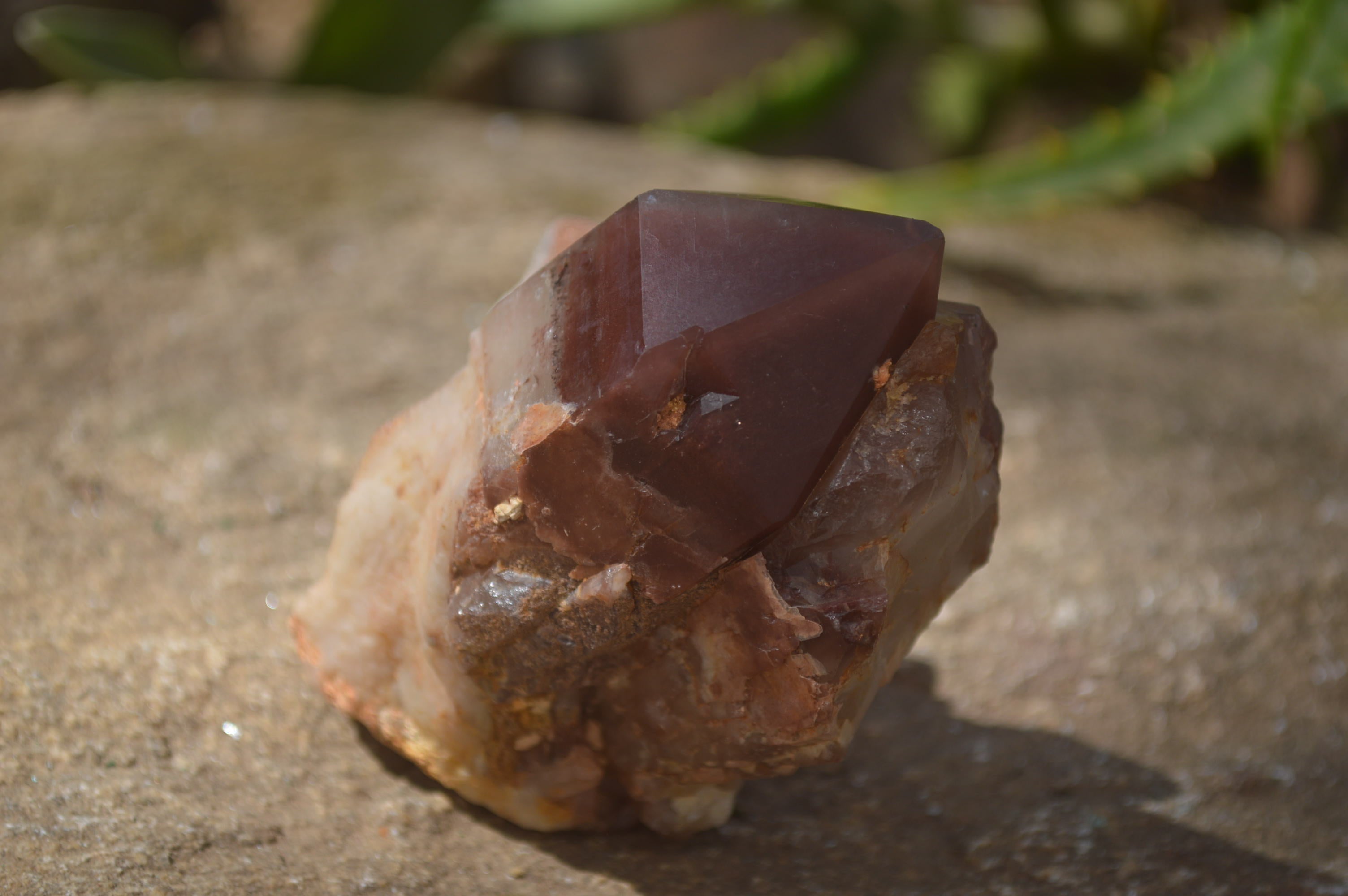 Polished Hematoid Quartz Clusters x 2 From Karoi, Zimbabwe - Toprock Gemstones and Minerals 