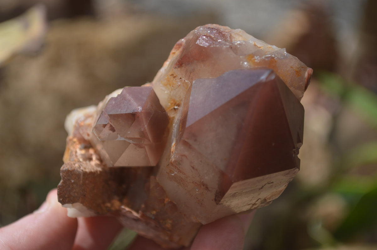 Polished Hematoid Quartz Clusters x 2 From Karoi, Zimbabwe - Toprock Gemstones and Minerals 