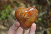 Polished Carnelian Gemstone Hearts x 6 From Madagascar