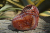 Polished Carnelian Gemstone Hearts x 6 From Madagascar