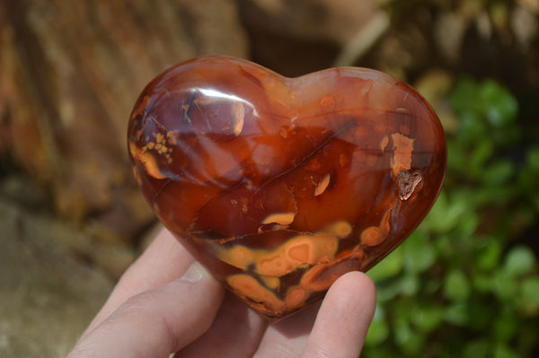 Polished Carnelian Gemstone Hearts x 6 From Madagascar