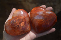 Polished Carnelian Gemstone Hearts x 6 From Madagascar