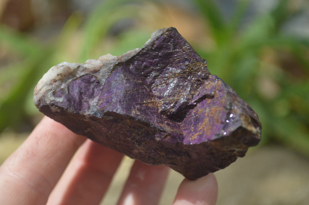Natural Metallic Purpurite Cobbed Specimens x 6 From Erongo, Namibia - Toprock Gemstones and Minerals 