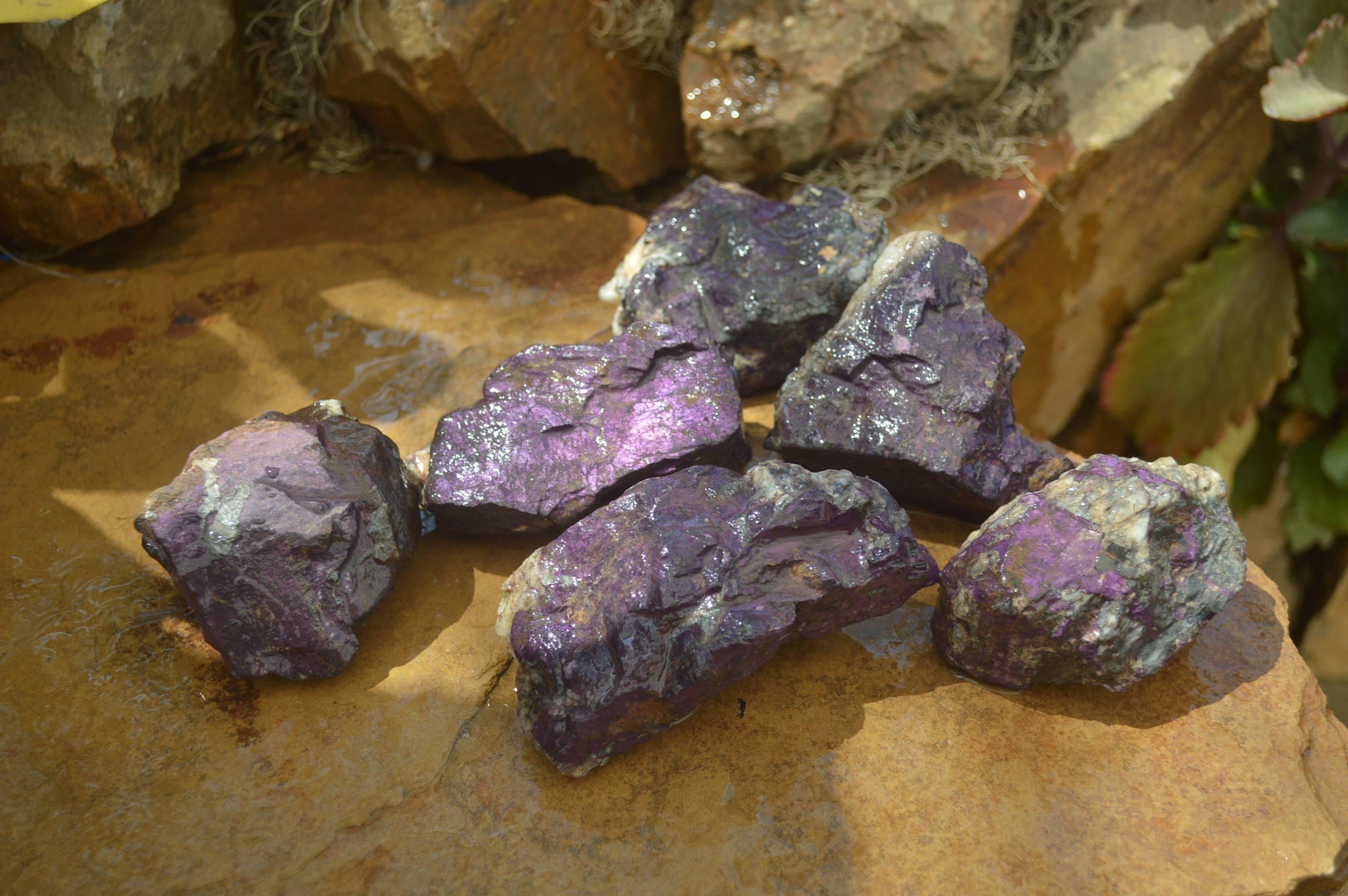 Natural Metallic Purpurite Cobbed Specimens x 6 From Erongo, Namibia - Toprock Gemstones and Minerals 