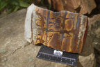 Polished On One Side Nguni Jasper Specimens x 2 From Prieska, South Africa - Toprock Gemstones and Minerals 