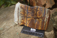 Polished On One Side Nguni Jasper Specimens x 2 From Prieska, South Africa - Toprock Gemstones and Minerals 