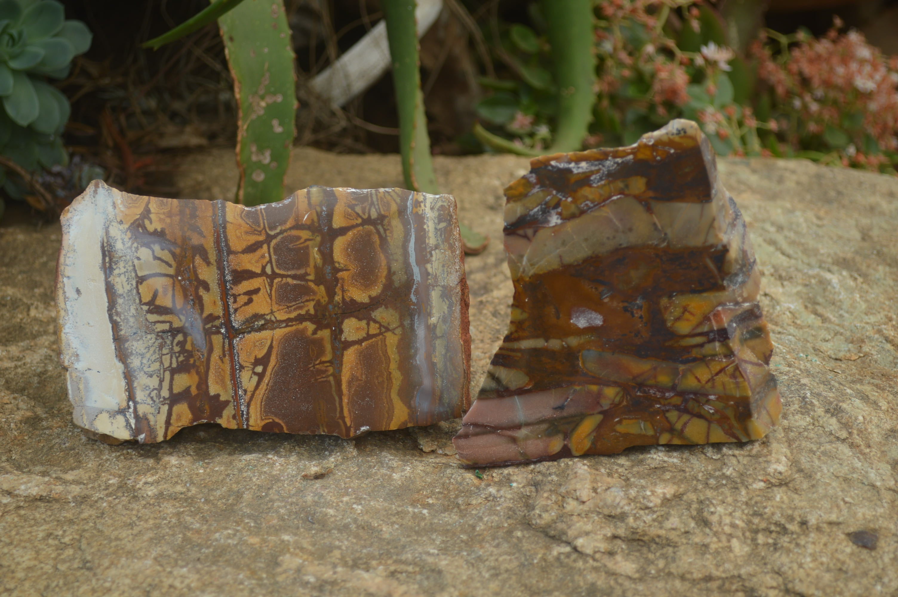 Polished On One Side Nguni Jasper Specimens x 2 From Prieska, South Africa - Toprock Gemstones and Minerals 