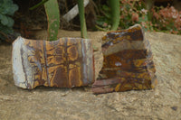 Polished On One Side Nguni Jasper Specimens x 2 From Prieska, South Africa - Toprock Gemstones and Minerals 
