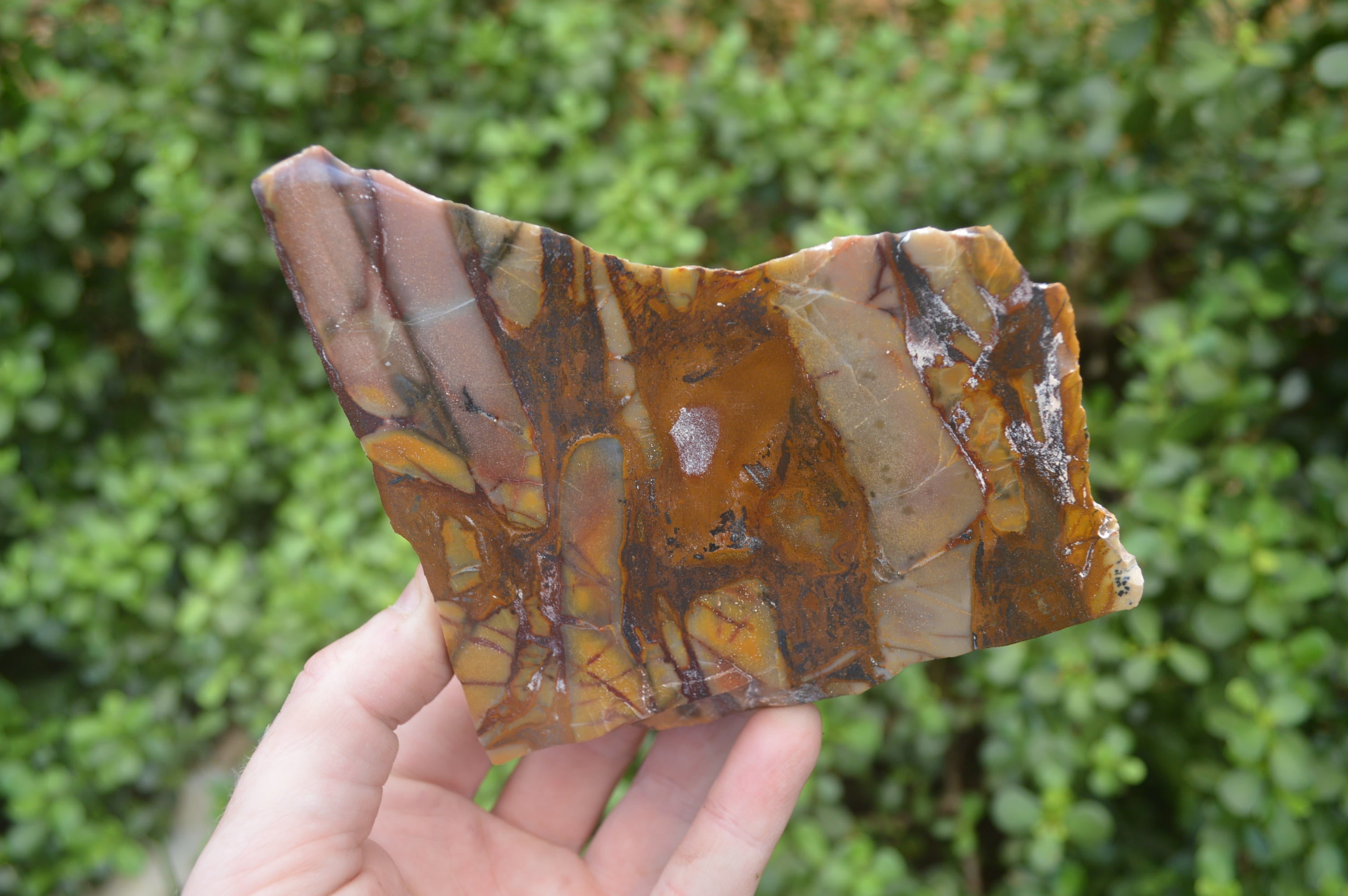Polished On One Side Nguni Jasper Specimens x 2 From Prieska, South Africa - Toprock Gemstones and Minerals 