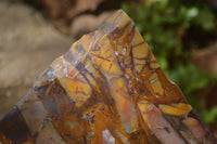Polished On One Side Nguni Jasper Specimens x 2 From Prieska, South Africa - Toprock Gemstones and Minerals 