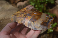 Polished On One Side Nguni Jasper Specimens x 2 From Prieska, South Africa - Toprock Gemstones and Minerals 